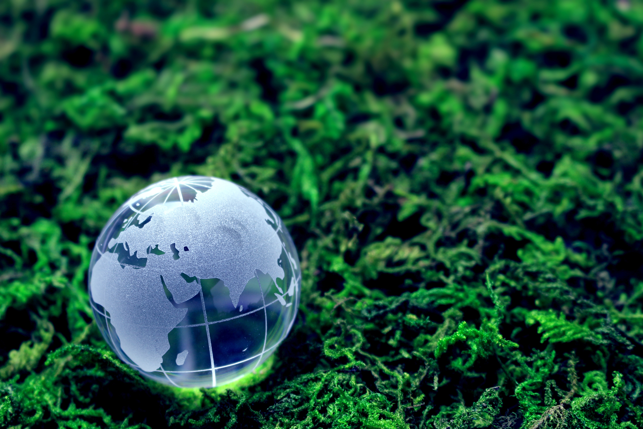 Environmental issues and ecology