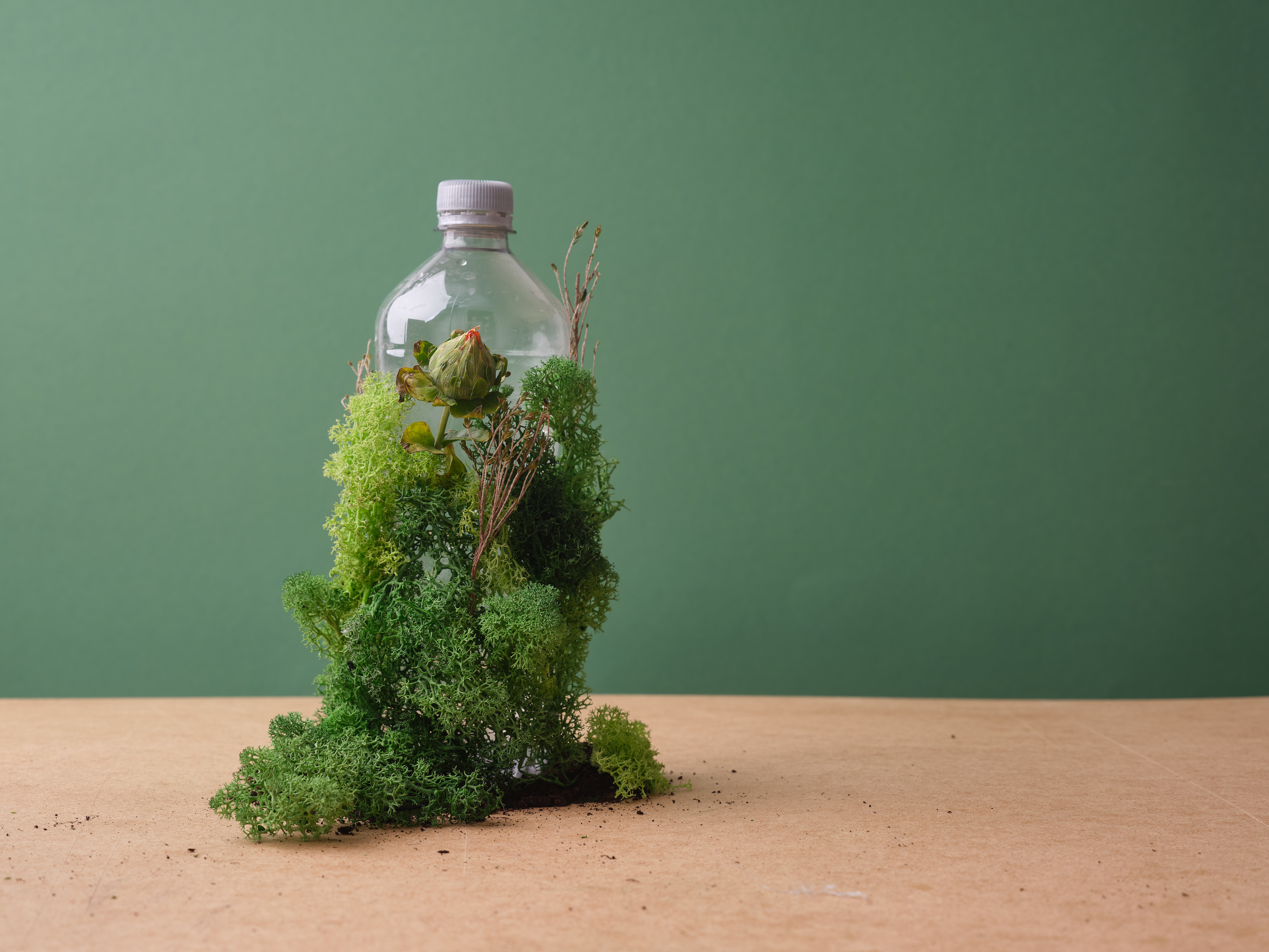 Sustainable Product Concept