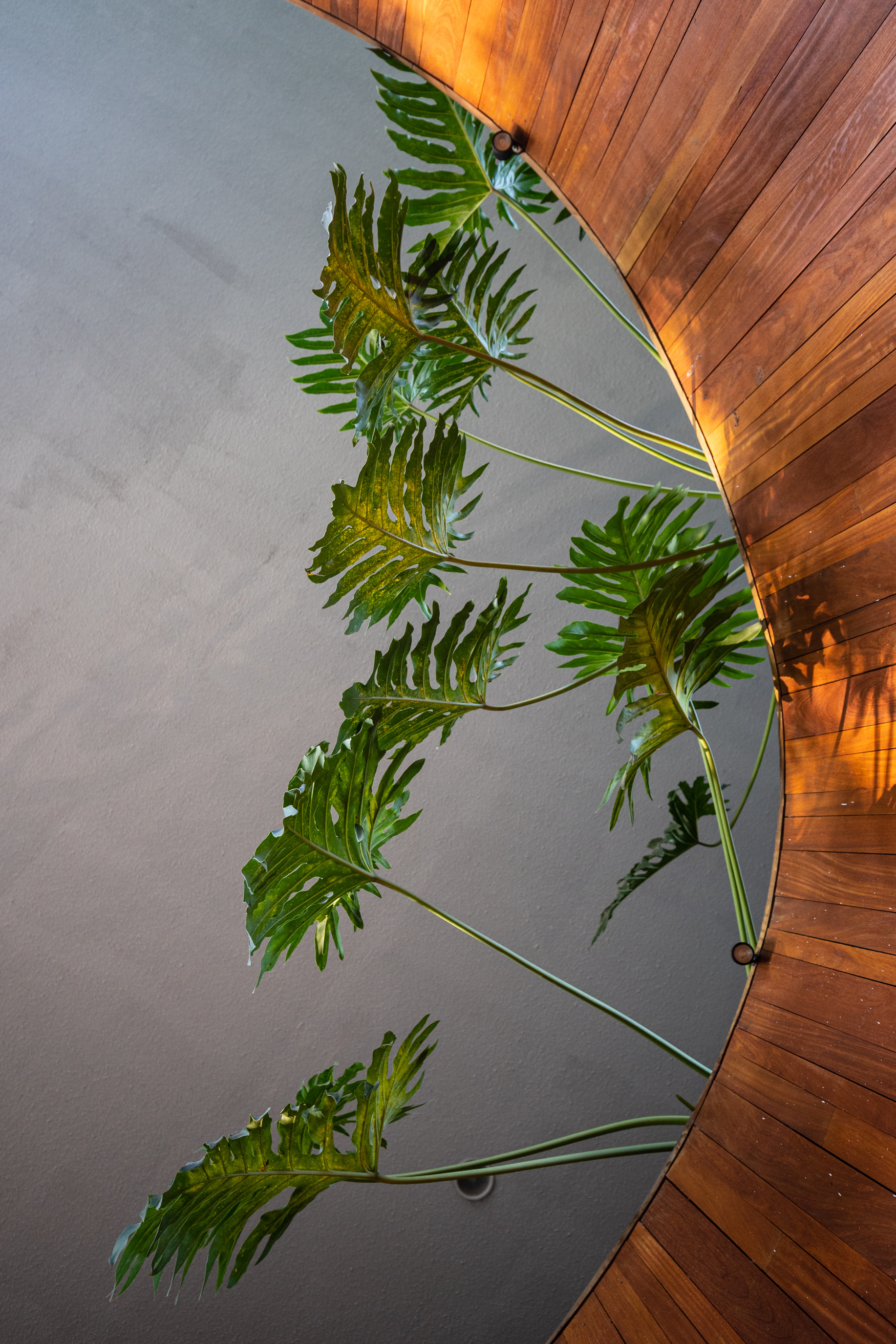Building Interior with Plants